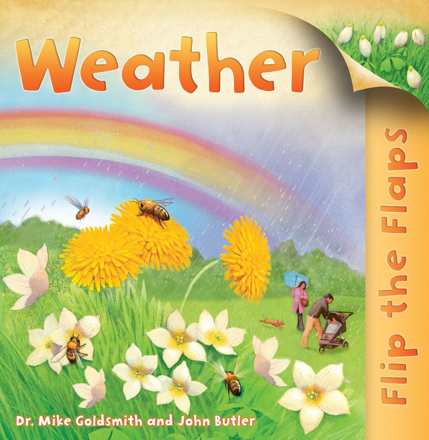 Weather (Flip the Flaps Series)