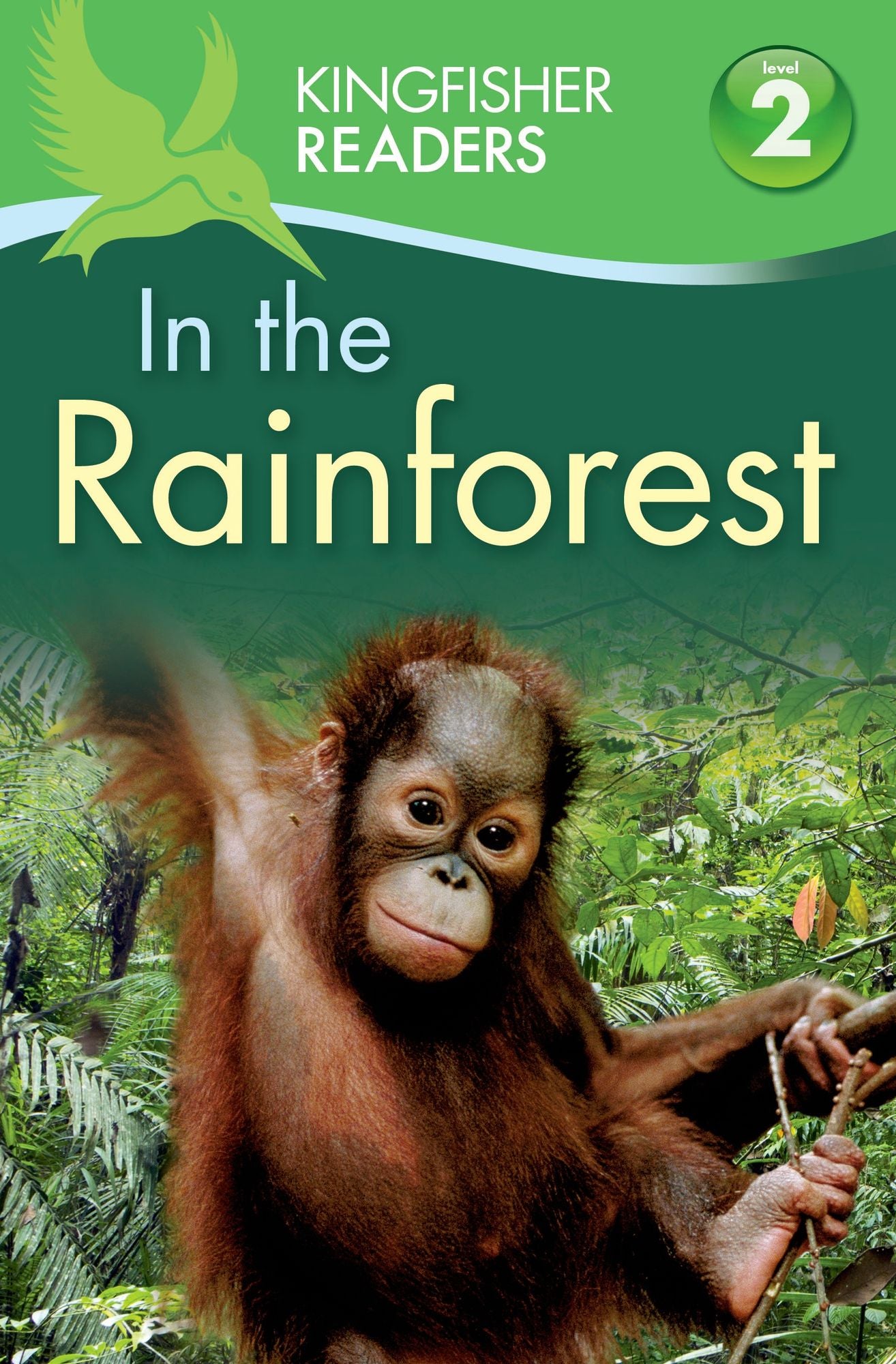 In the Rainforest (Kingfisher Readers Series: Level 2)