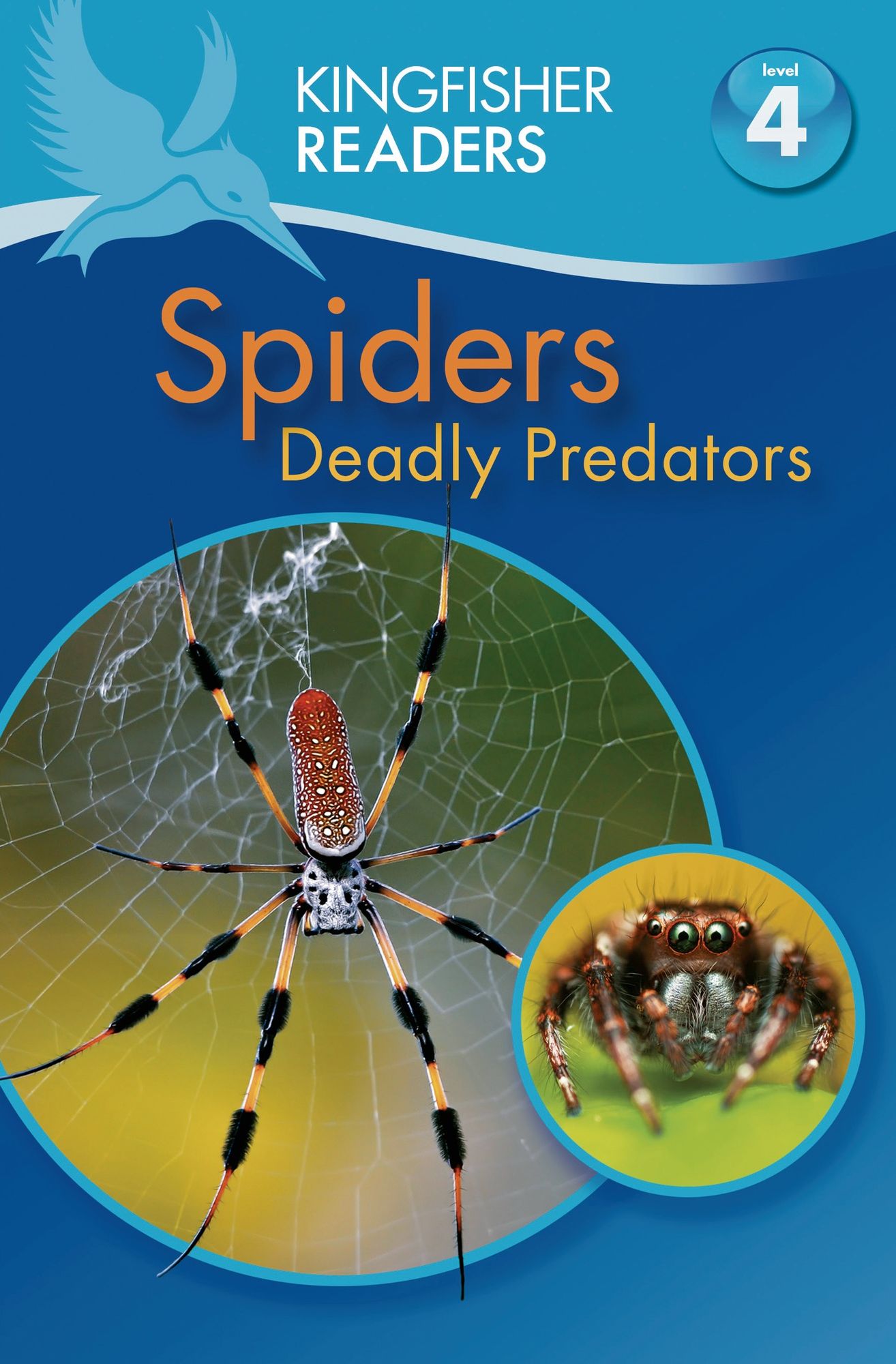 Spiders: Deadly Predators