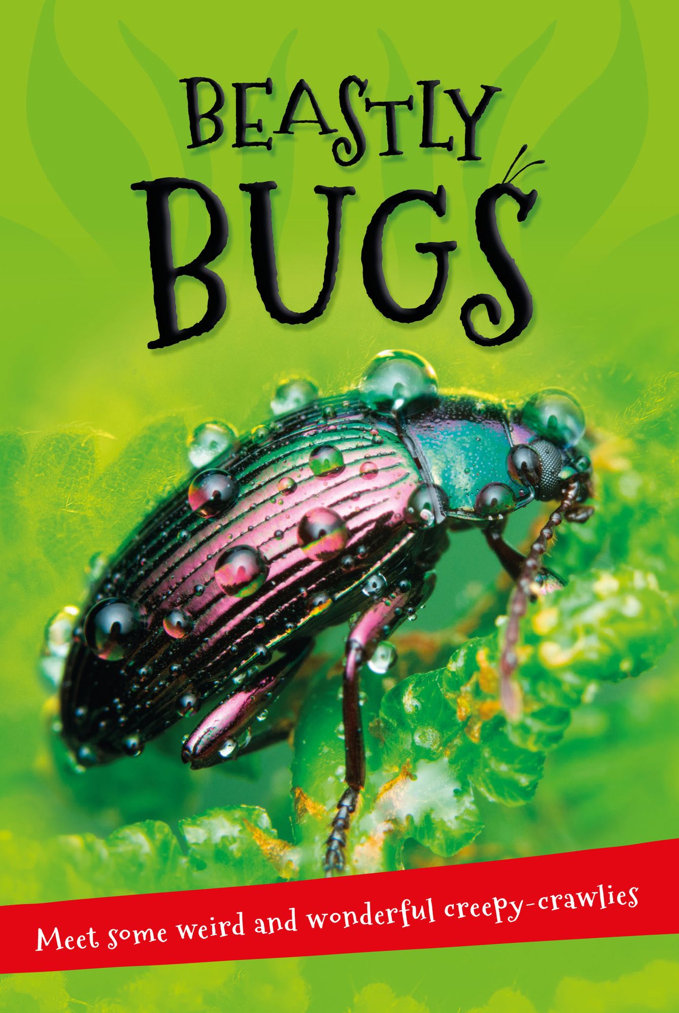 It's all about... Beastly Bugs: Everything you want to know about minibeasts in one amazing book