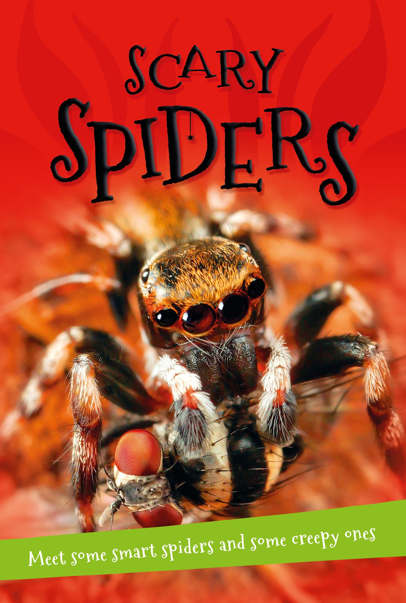 It's all about... Scary Spiders: Everything you want to know about these eight-legged creepy-crawlies in one amazing book