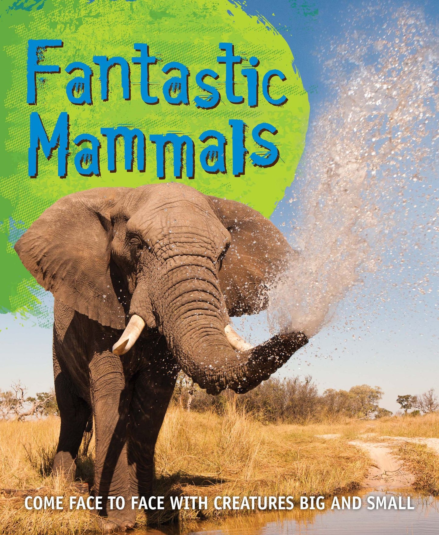 Fast Facts: Fantastic Mammals: Meet some amazing animals, big and small