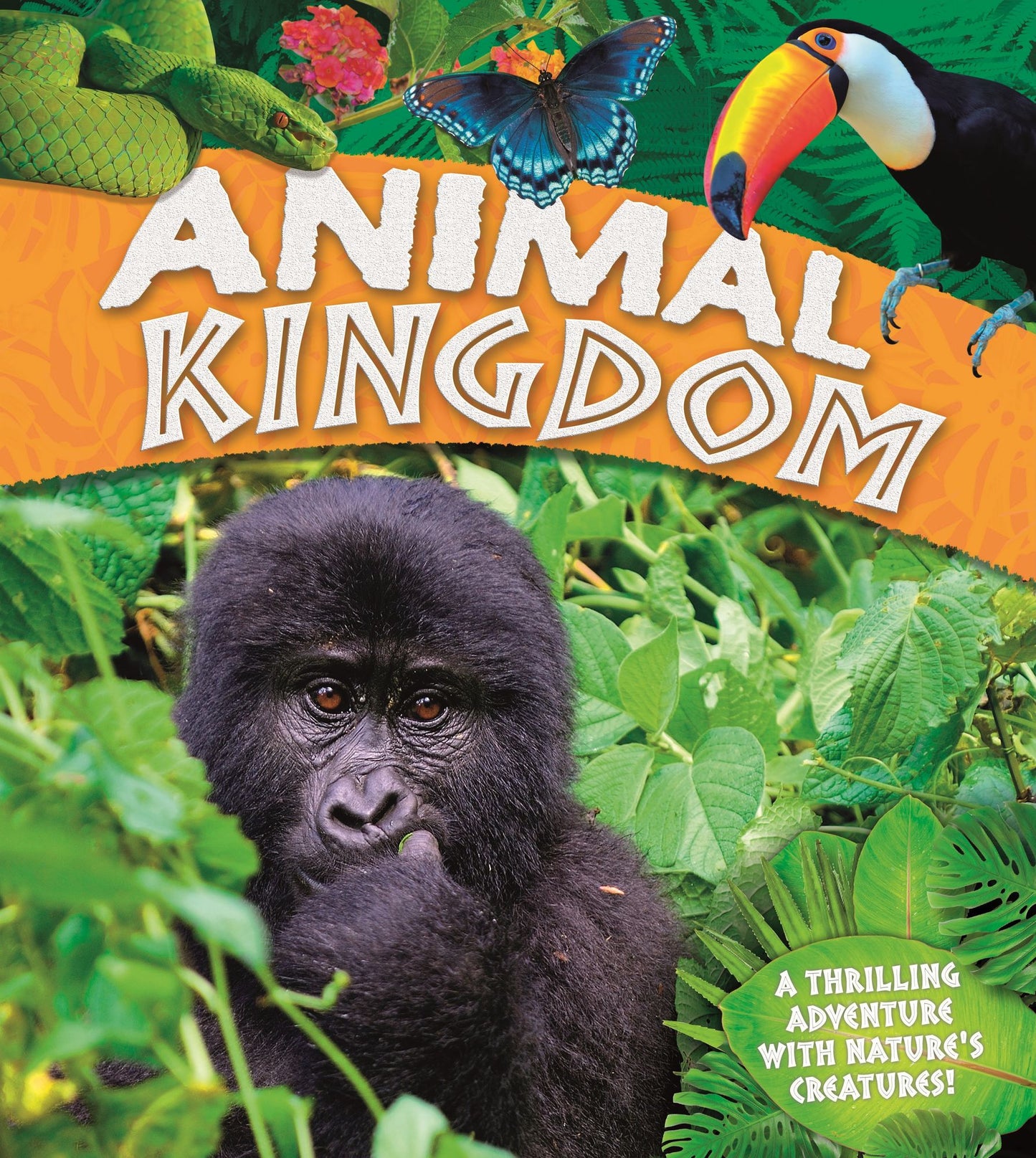 Animal Kingdom: A thrilling adventure with nature's creatures