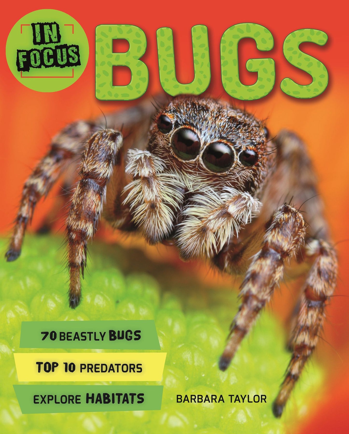 Bugs (In Focus Series)