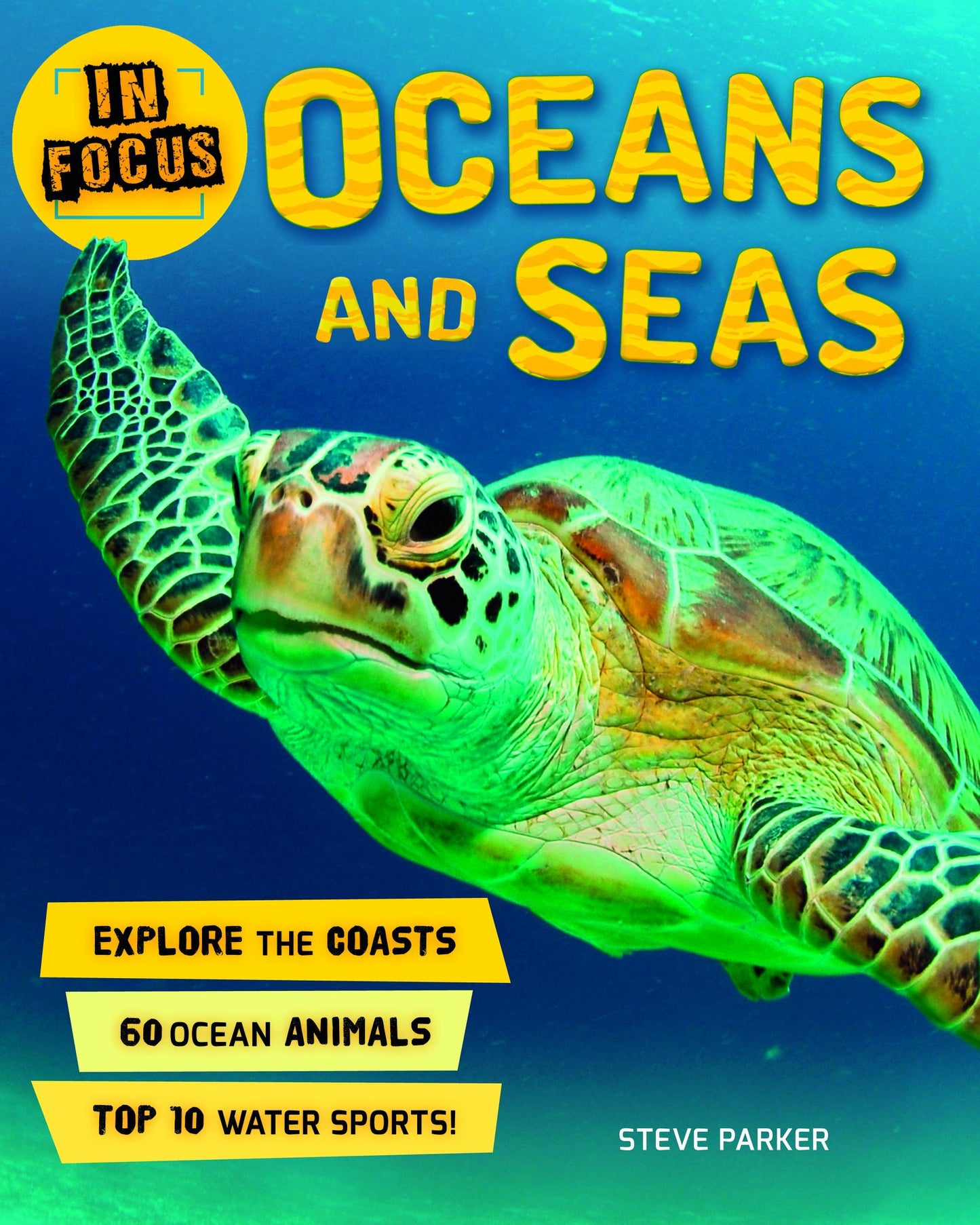 Oceans and Seas (In Focus Series)