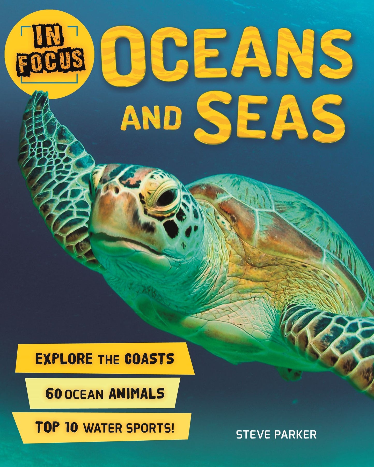 Oceans and Seas (In Focus Series)