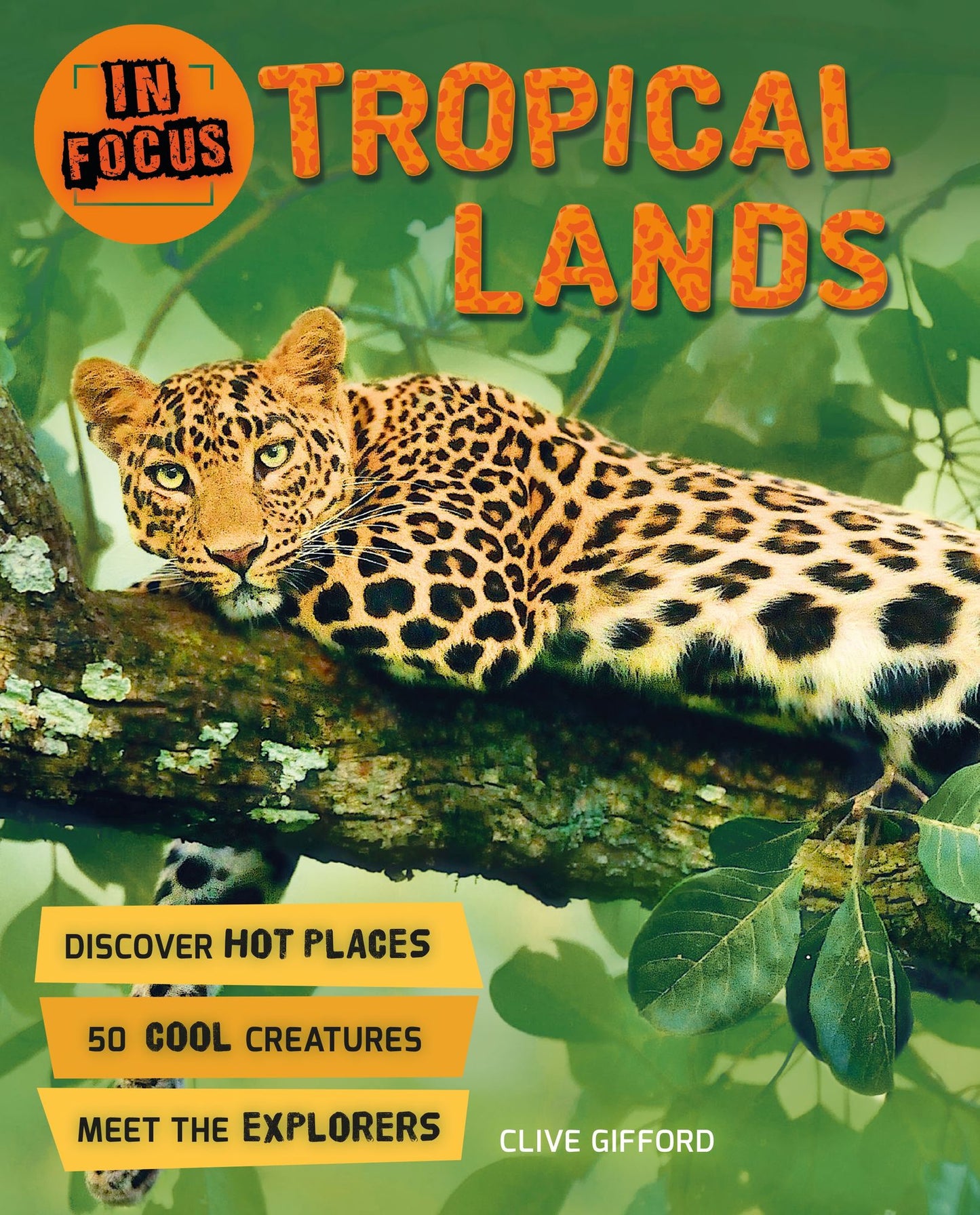 Tropical Lands (In Focus Series)