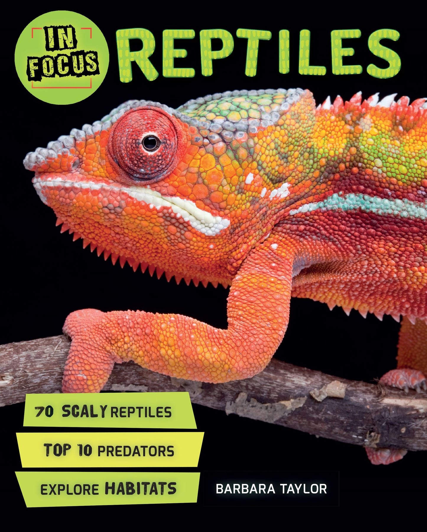 Reptiles (In Focus Series)