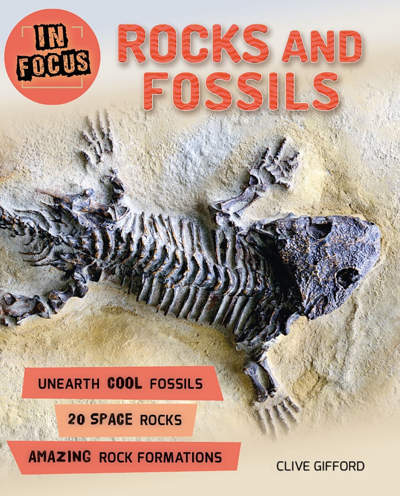 Rocks and Fossils (In Focus Series)
