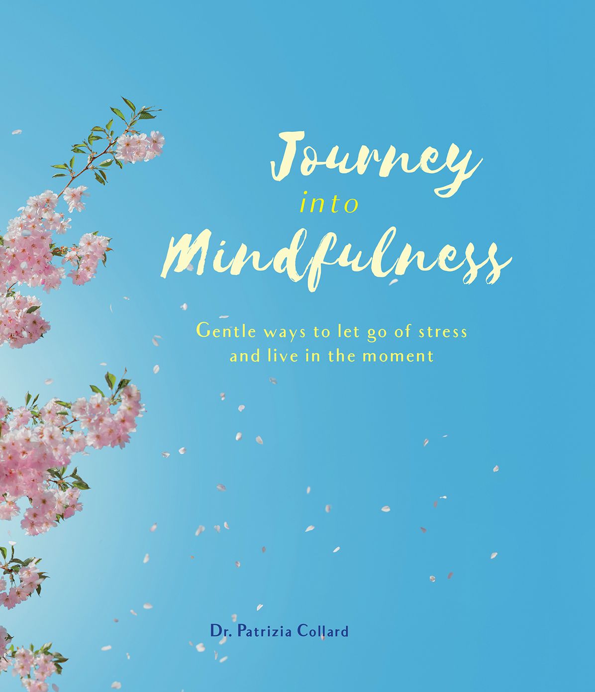 Journey Into Mindfulness