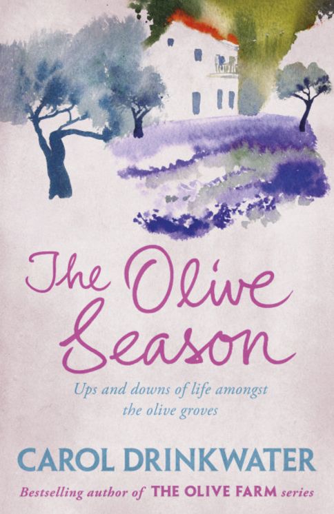 The Olive Season