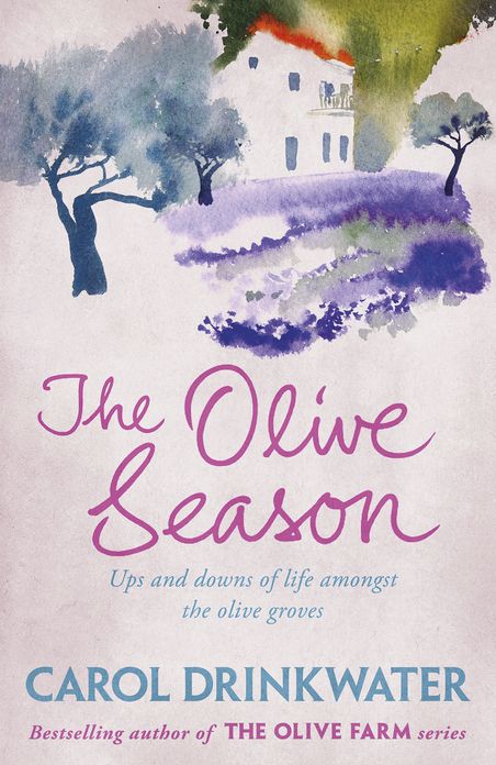 The Olive Season