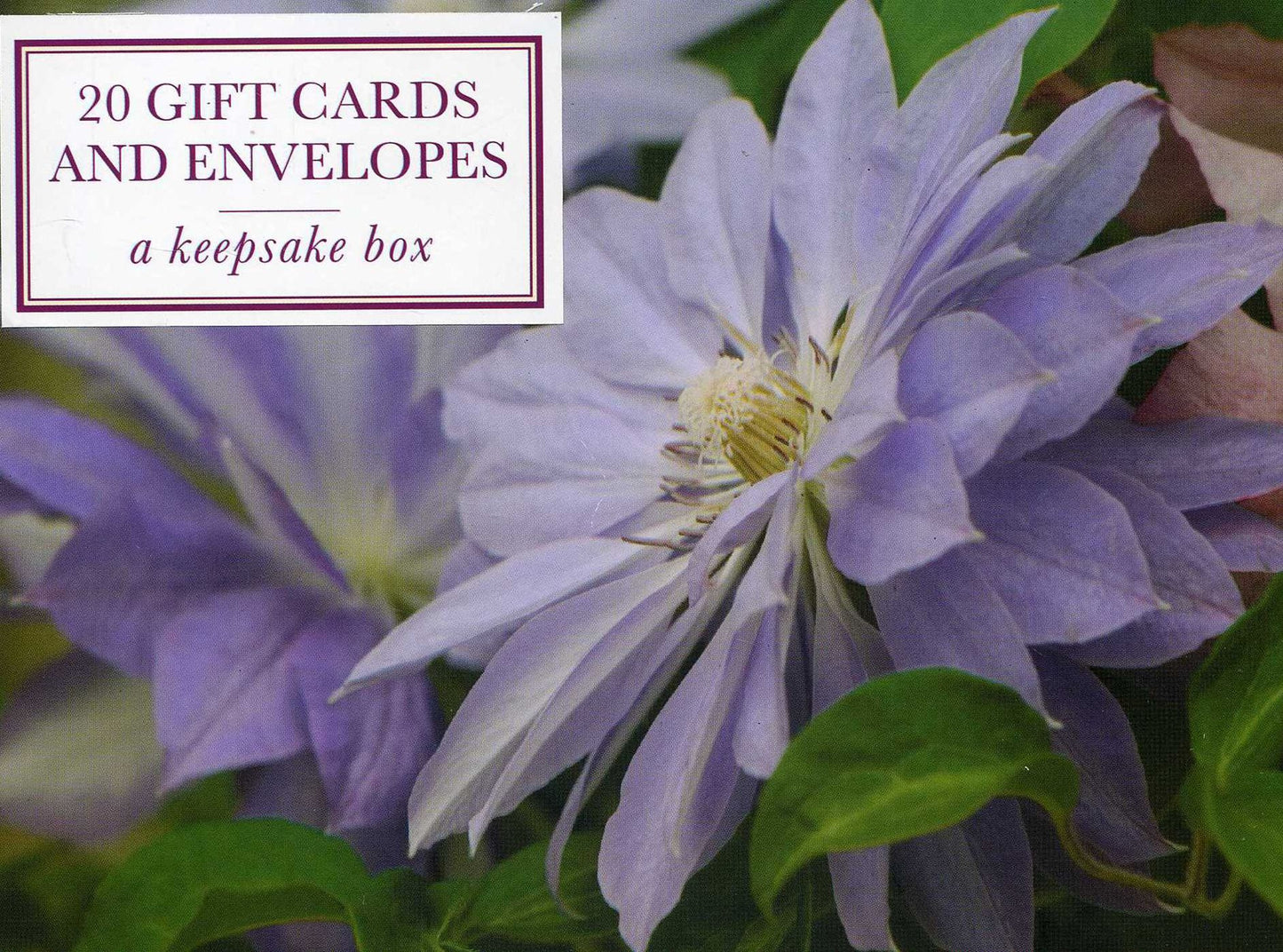 Tin Box of 20 Gift Cards and Envelopes: Clematis: A Keepsake Tin Box of 20 High-Quality Beautiful Floral Gift Cards and Envelopes