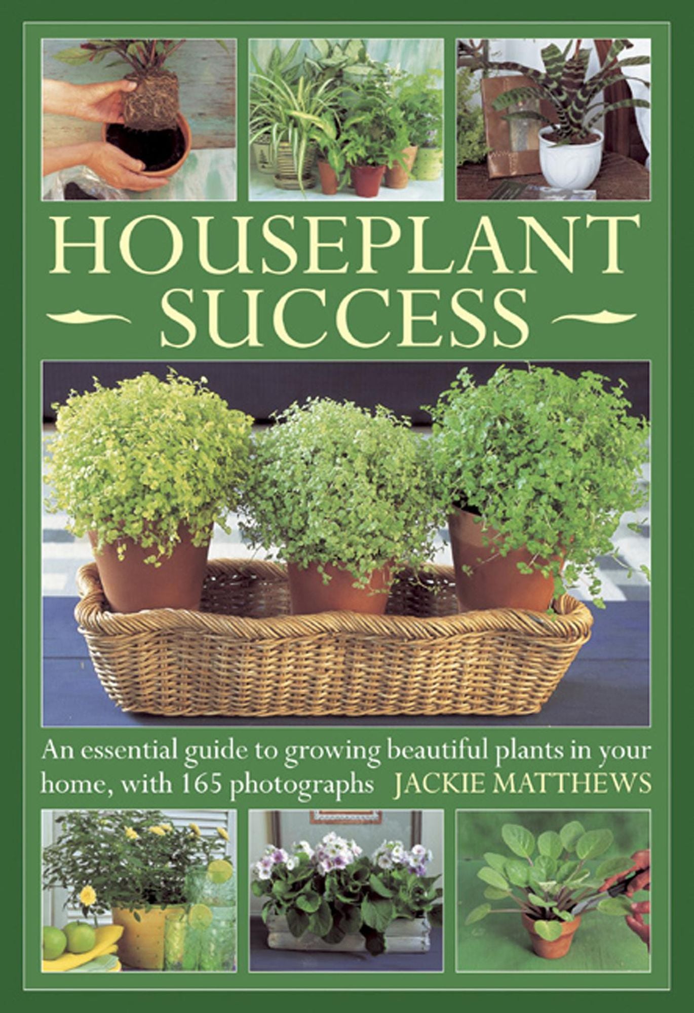 Houseplant Success: An Essential Guide to Growing Beautiful Plants in Your Home Throughout the Year