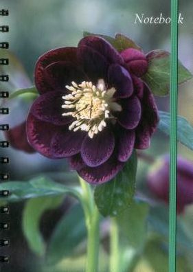 Notebook (Hellebore)