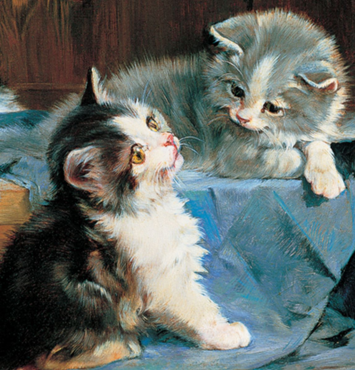 Memo Block: Kittens: High-quality block of notepapers in a presentation cube box with built-in drawer