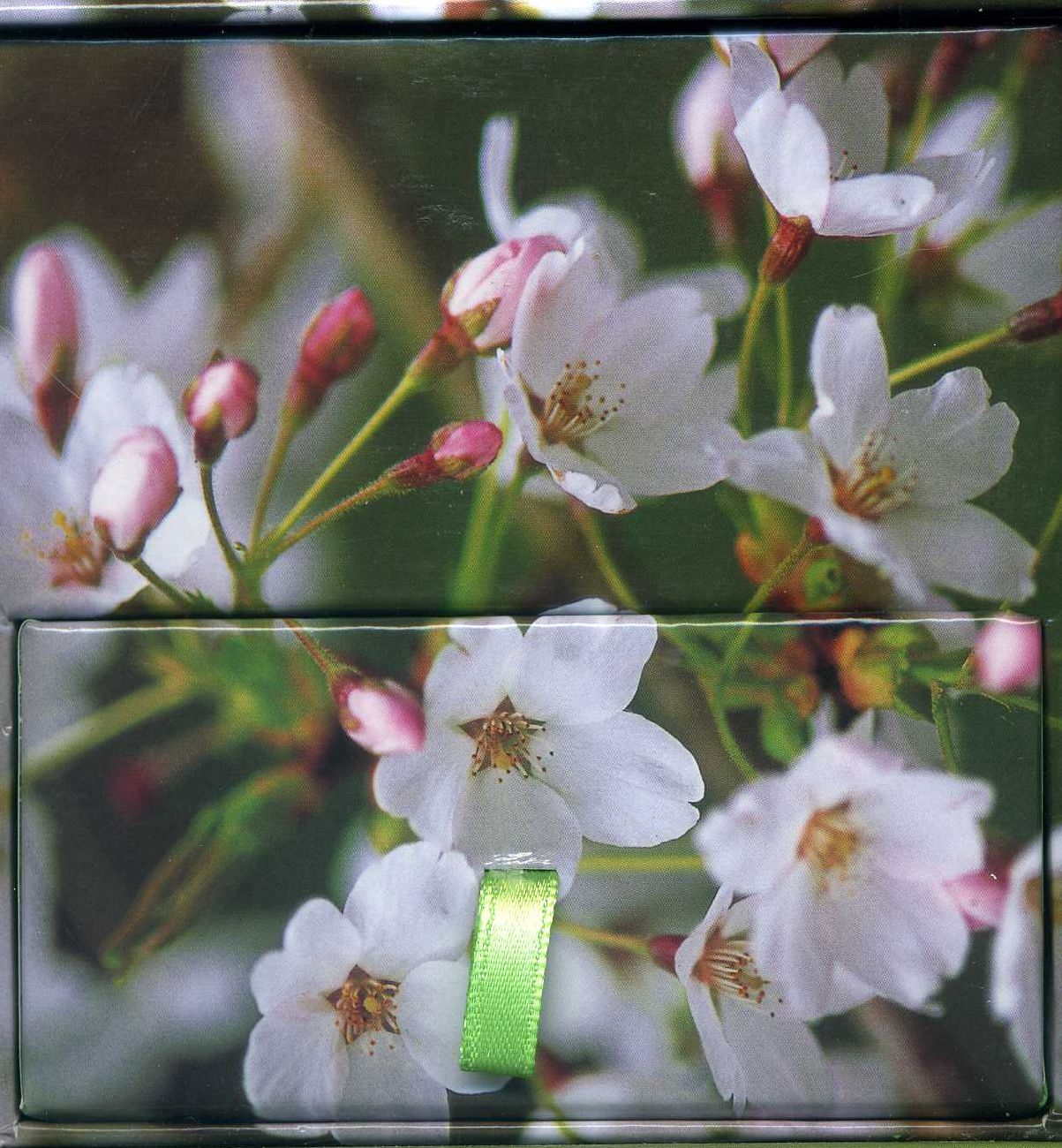 Memo Block (Cherry Blossom)
