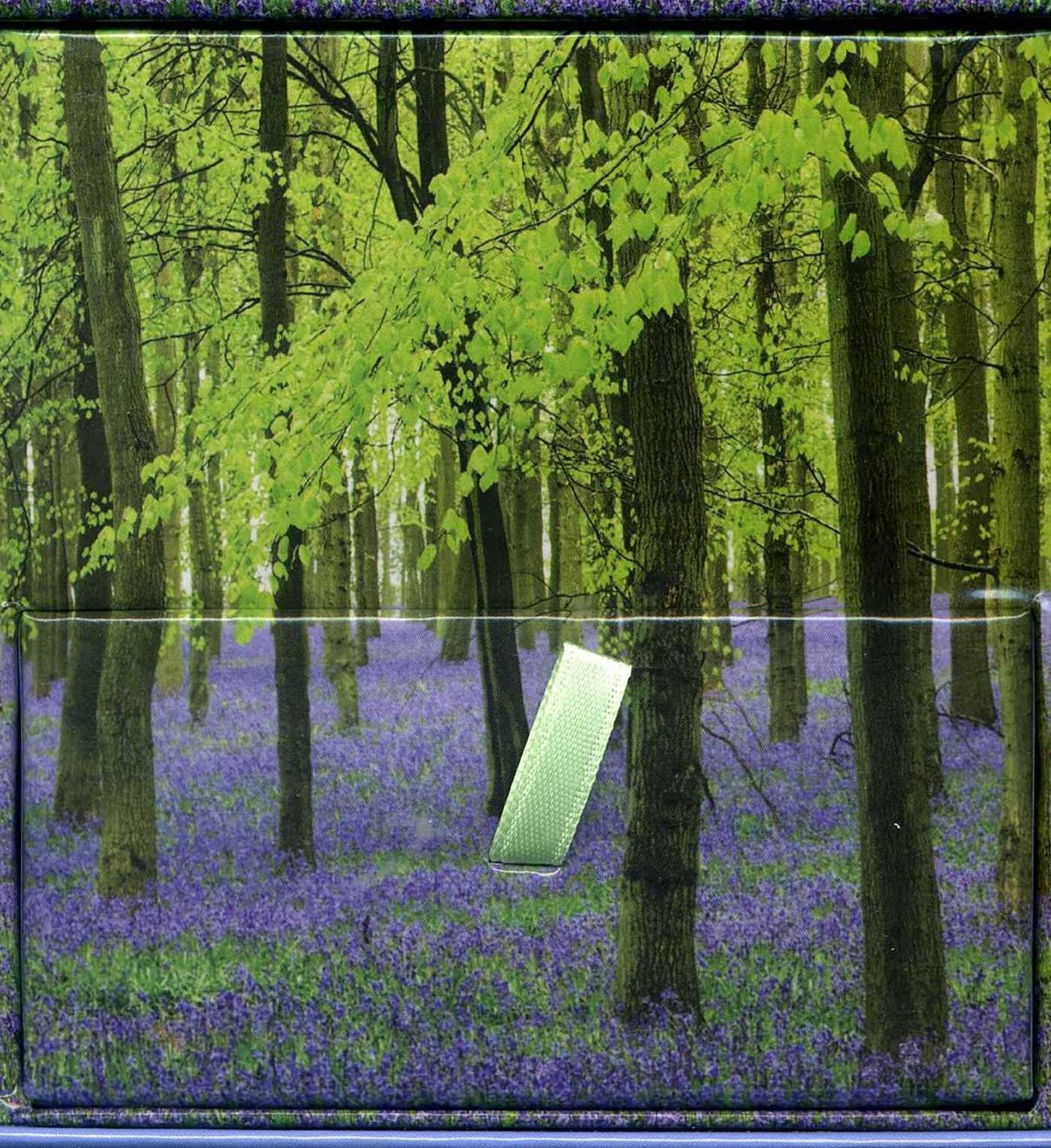 Memo Block - Bluebells: High-quality block of notepapers in a presentation cube box with built-in drawer