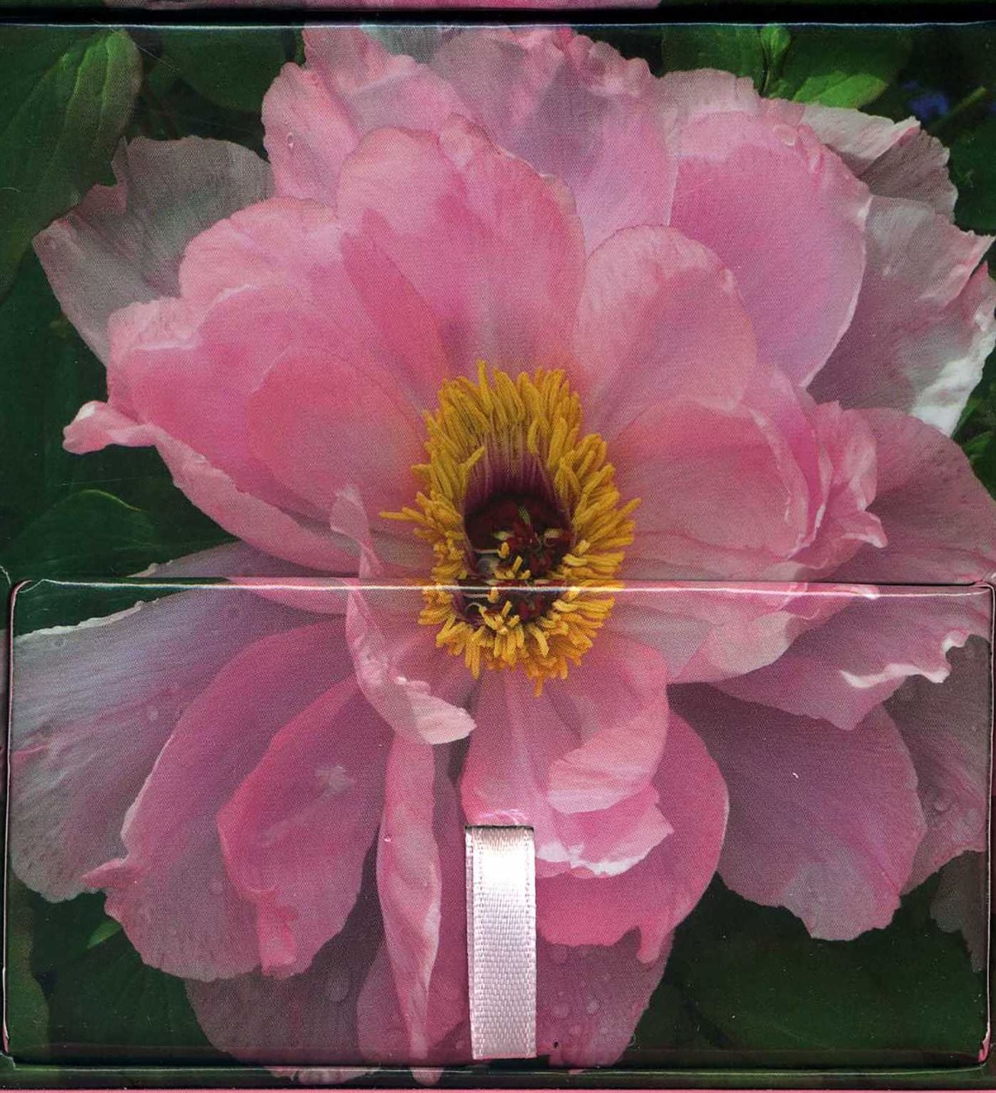Memo Block - Peony