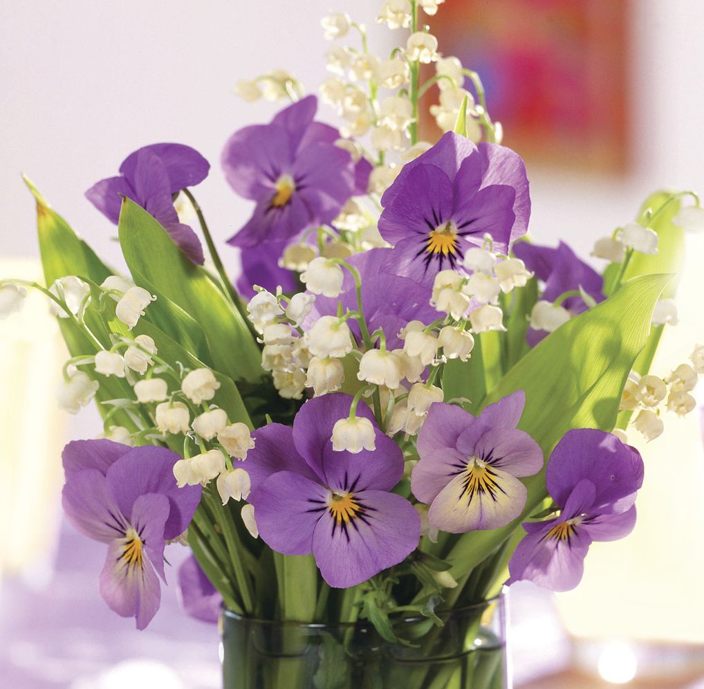 Memo Block: Purple Viola