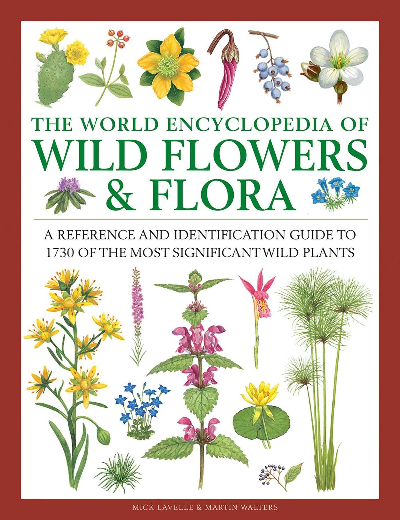 Wild Flowers & Flora, The World Encyclopedia of: A reference and identification guide to 1730 of the world's most significant wild plants