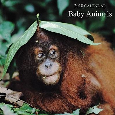 2018 Calendar: Baby Animals