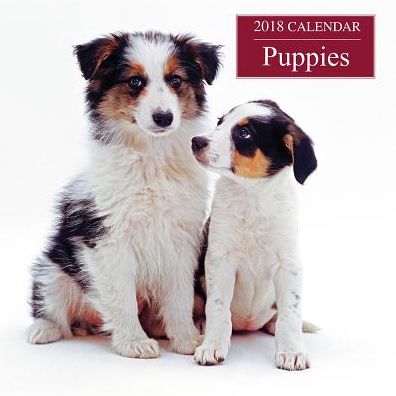 2018 Calendar: Puppies