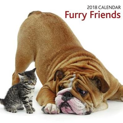 2018 Calendar: Furry Friends