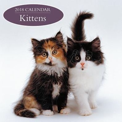 2018 Calendar: Kittens