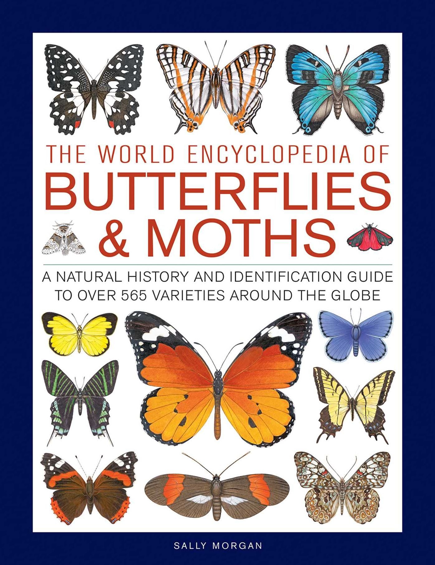 Butterflies & Moths, The World Encyclopedia of: A natural history and identification guide to over 565 varieties around the globe