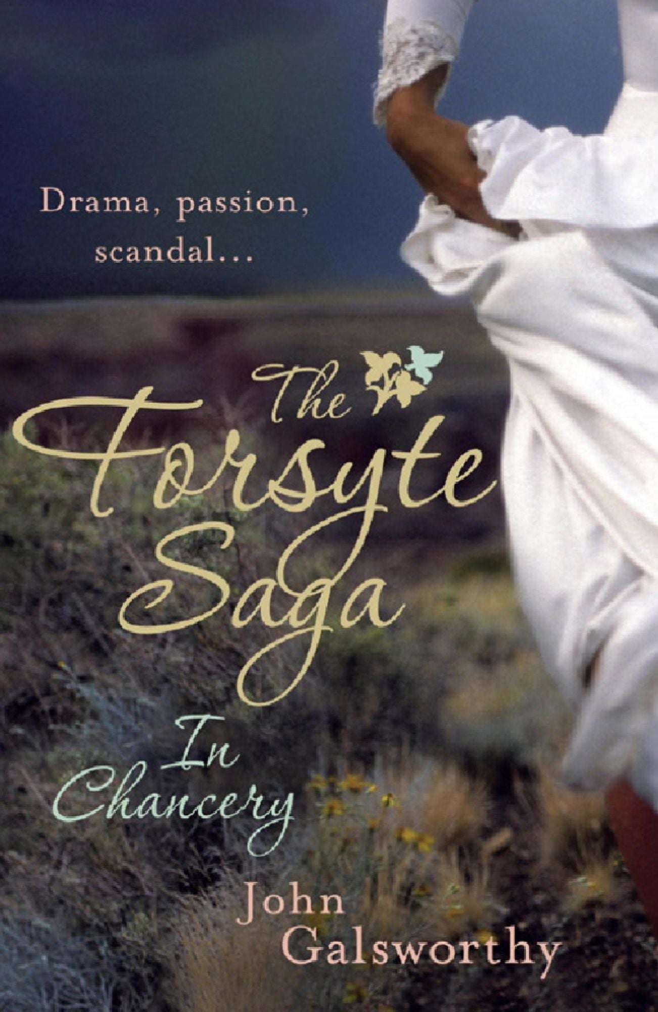 The Forsyte Saga 2: In Chancery: The Forsyte Saga: Book Two