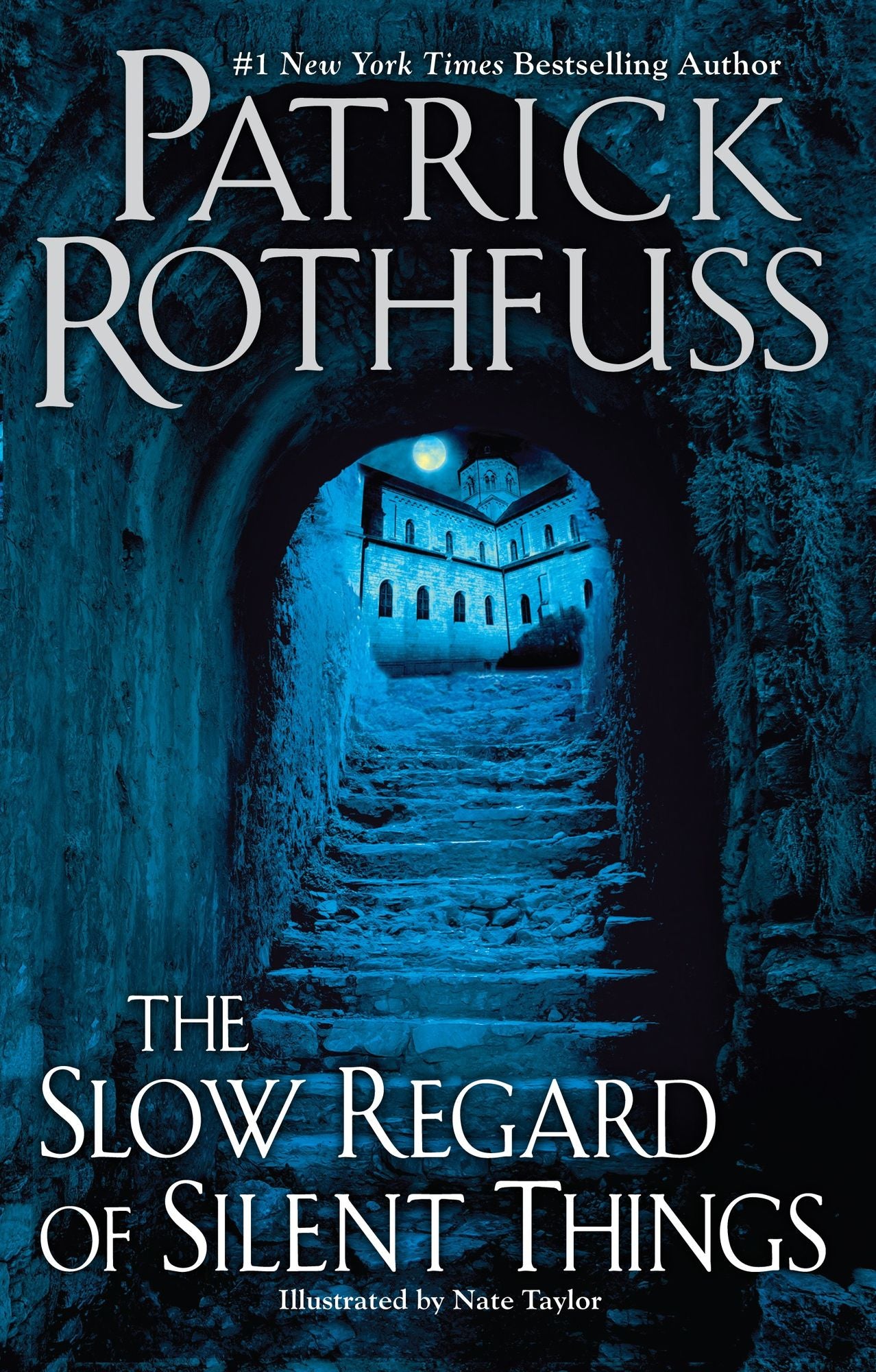 The Slow Regard of Silent Things (A Novella)