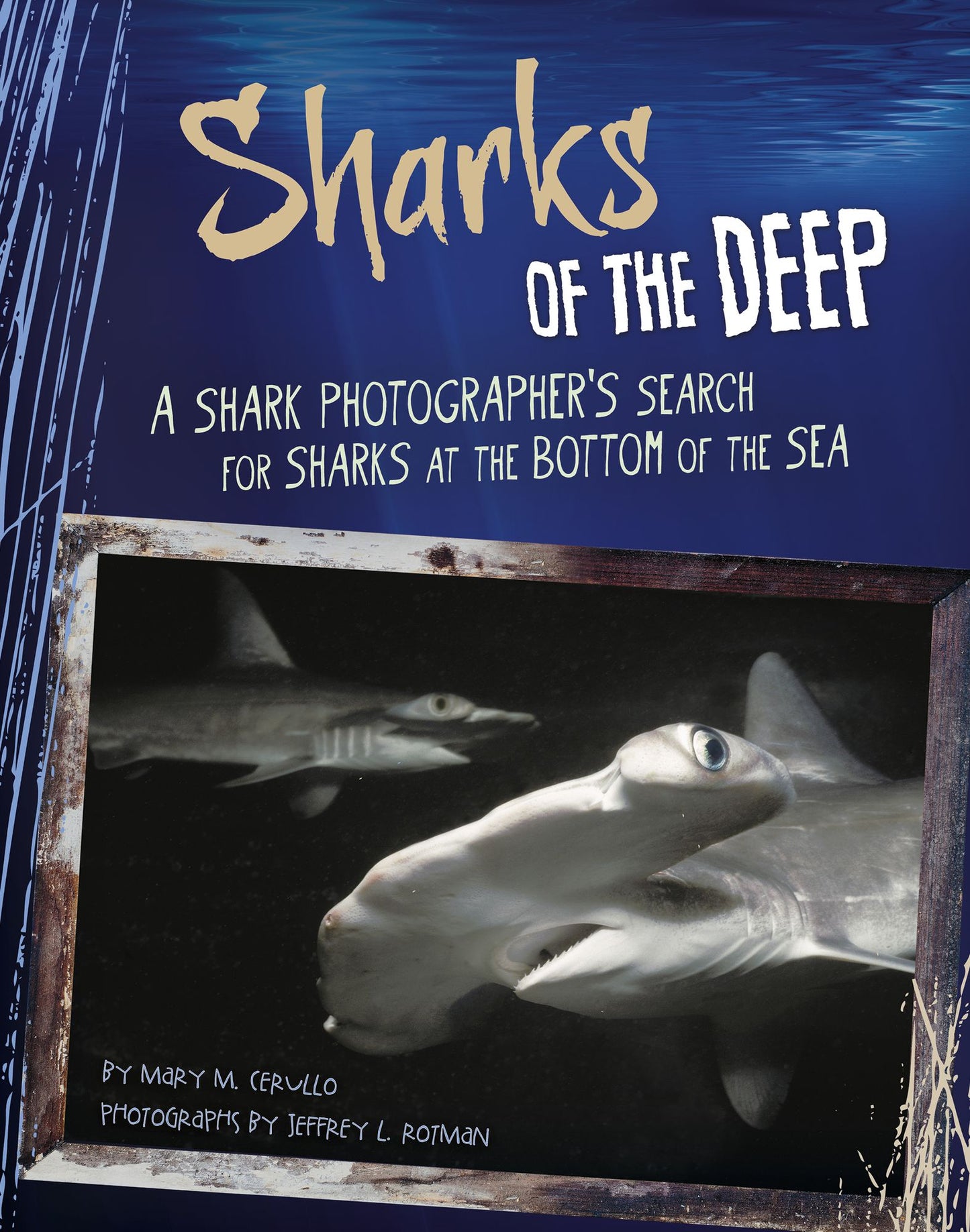 Sharks of the Deep: A Shark Photographer's Search for Sharks at the Bottom of the Sea