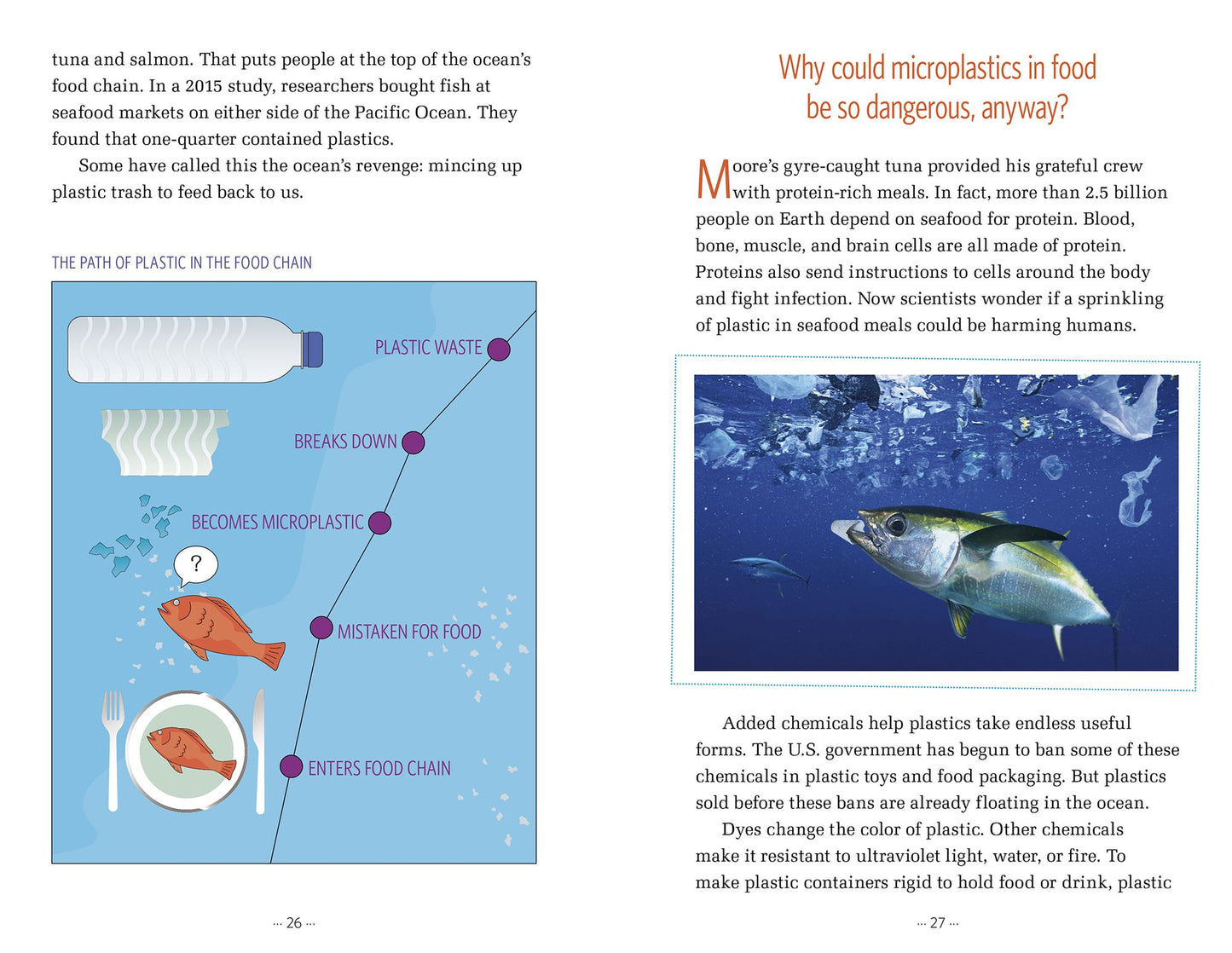 You Are Eating Plastic Every Day : What's in Our Food?