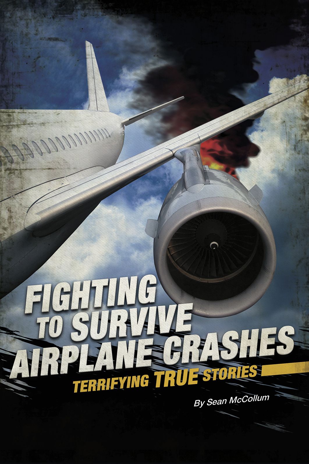 Fighting to Survive Airplane Crashes : Terrifying True Stories