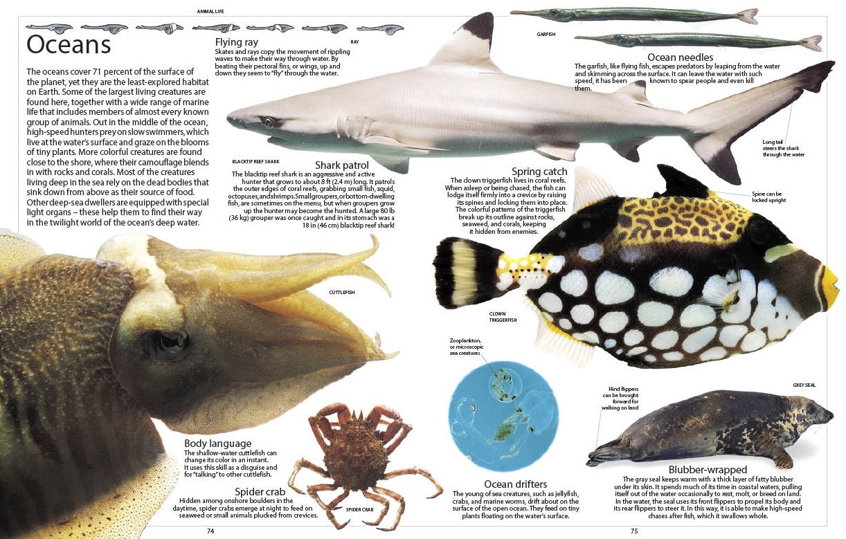 Encyclopedia of Animals