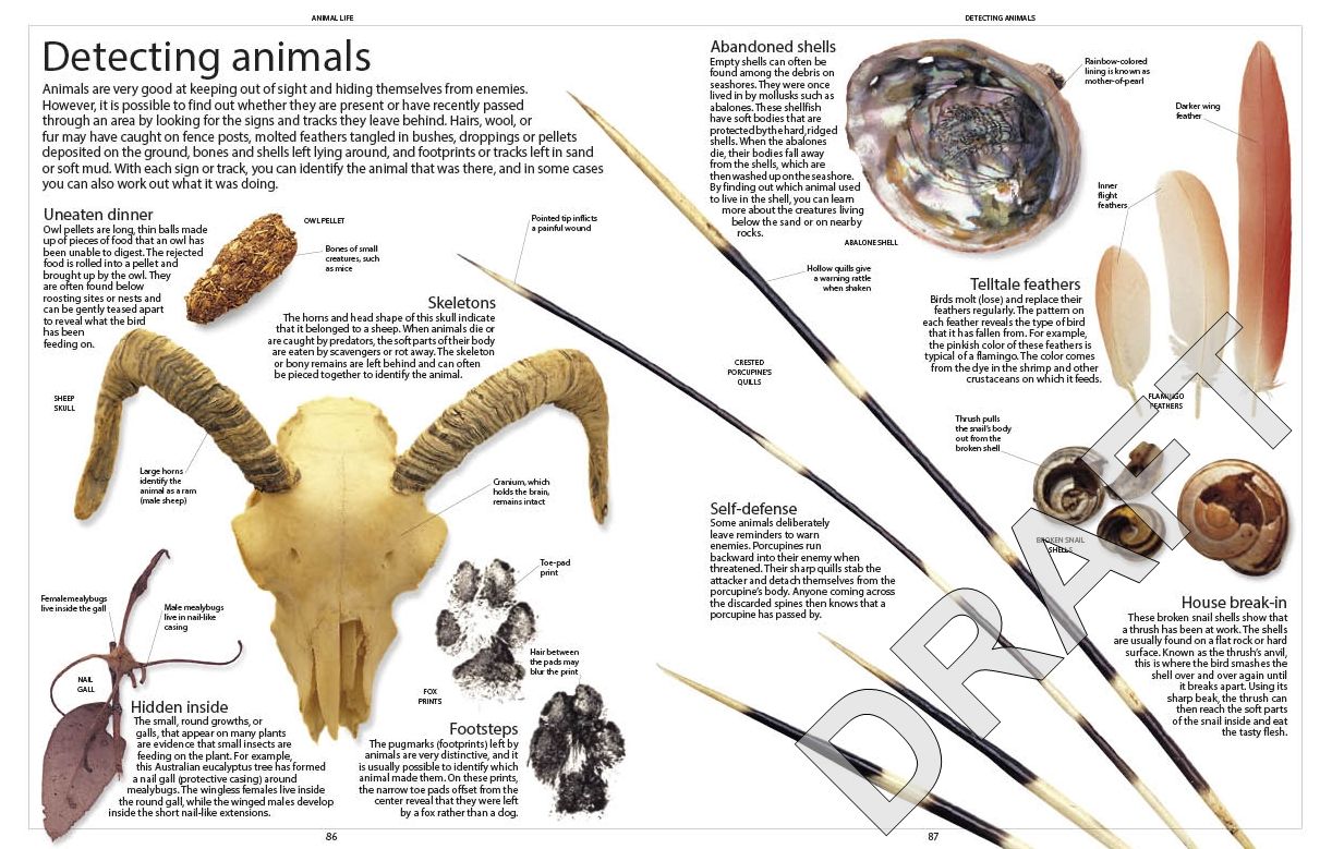 Encyclopedia of Animals