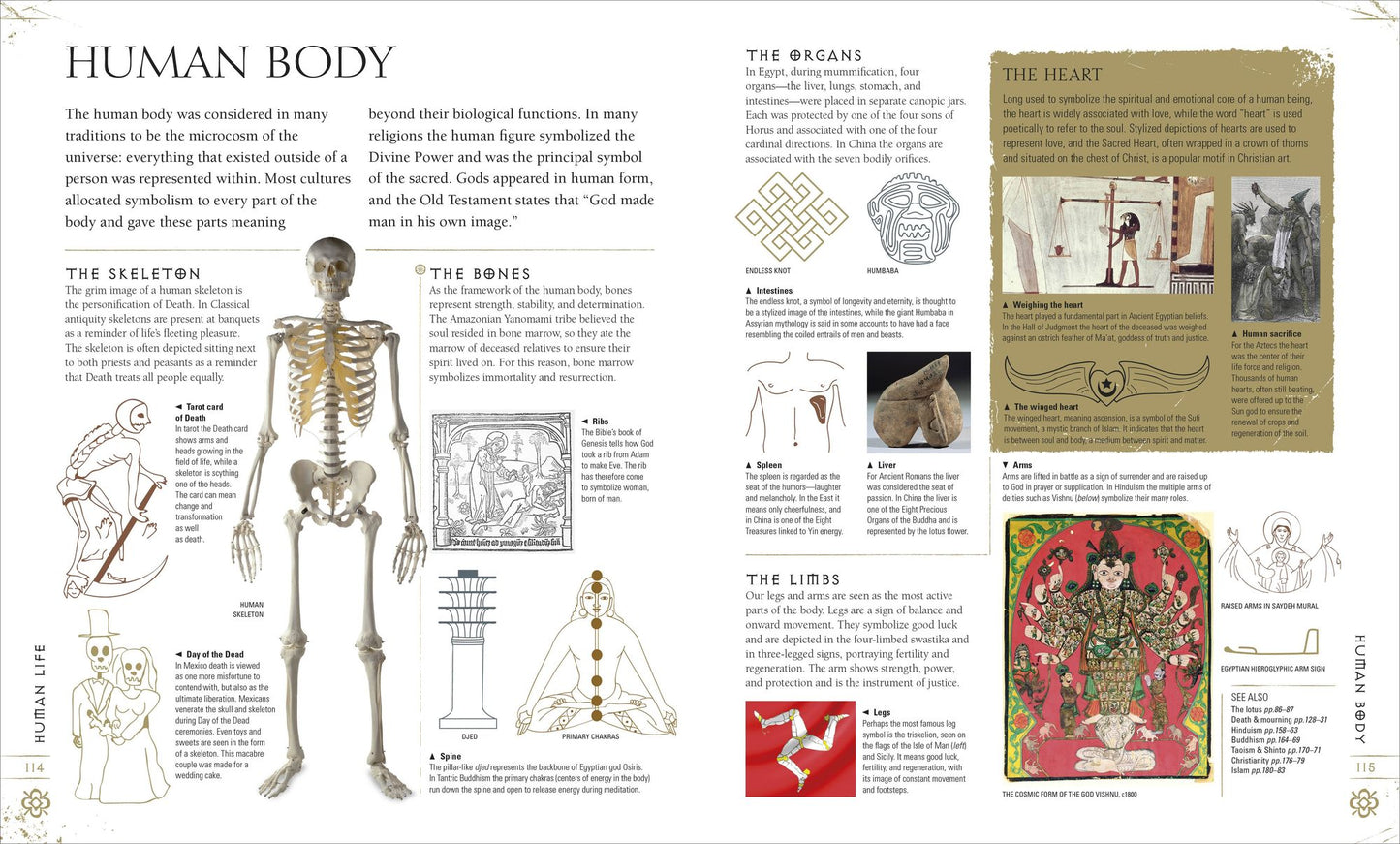 Signs and Symbols