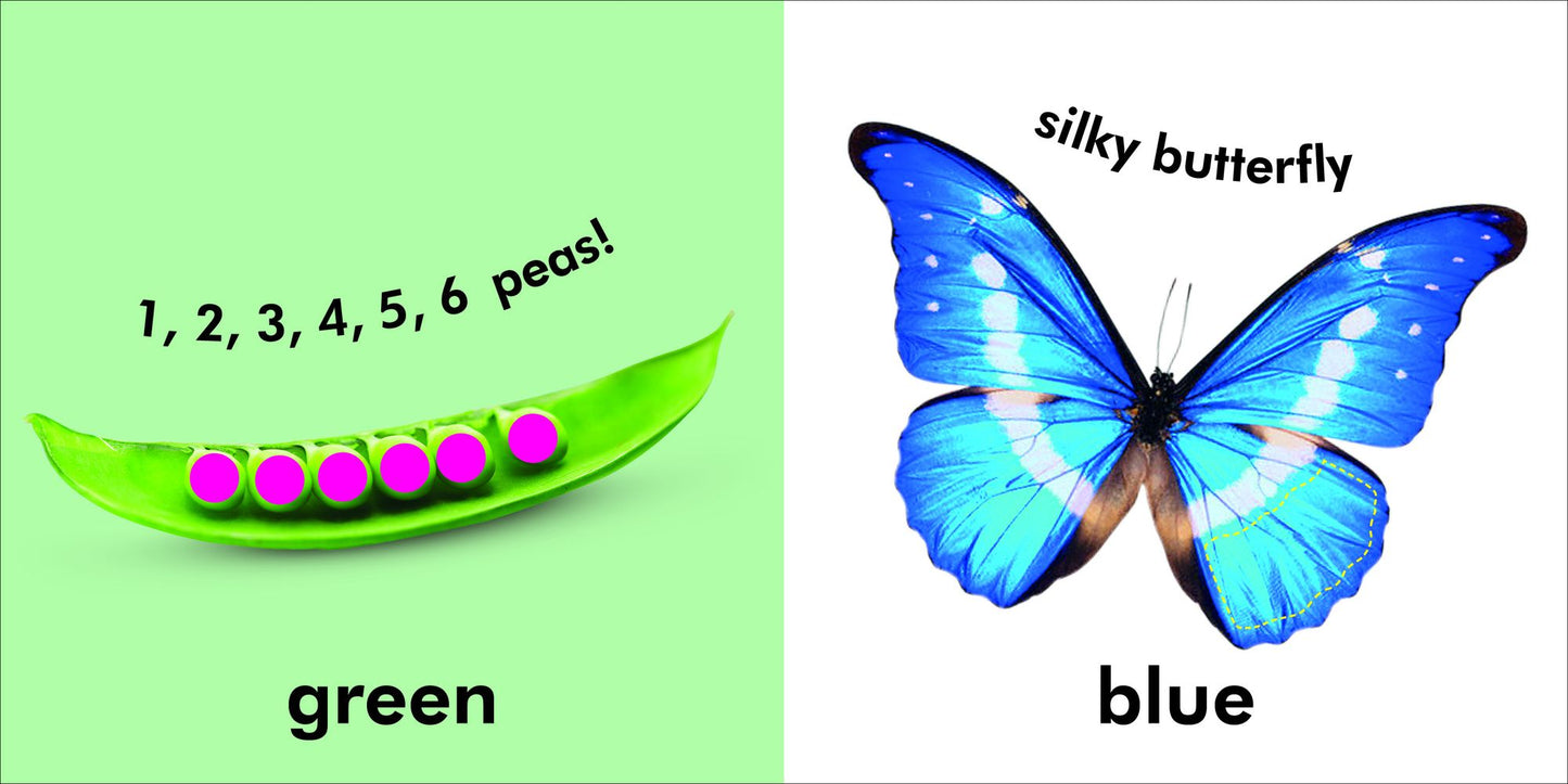 Colors and Shapes
