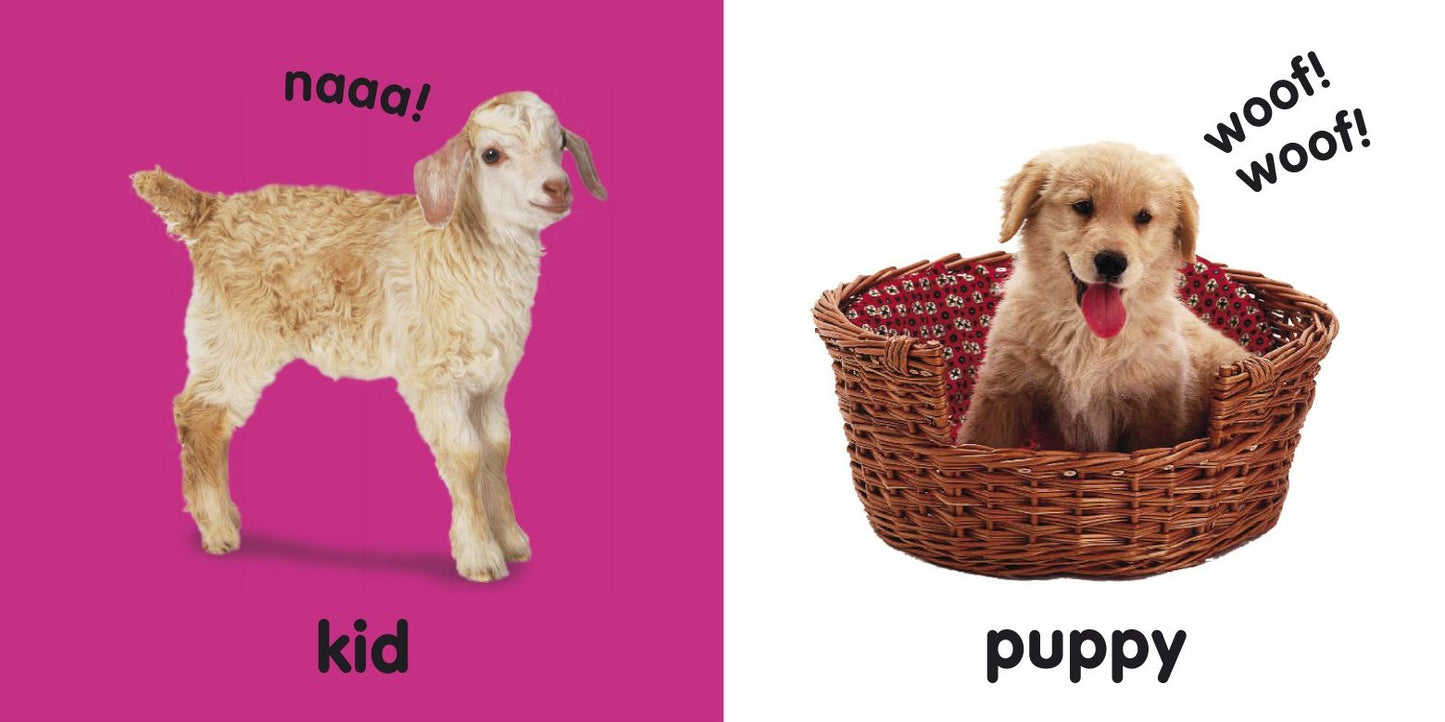 Baby Touch and Feel: Baby Animals