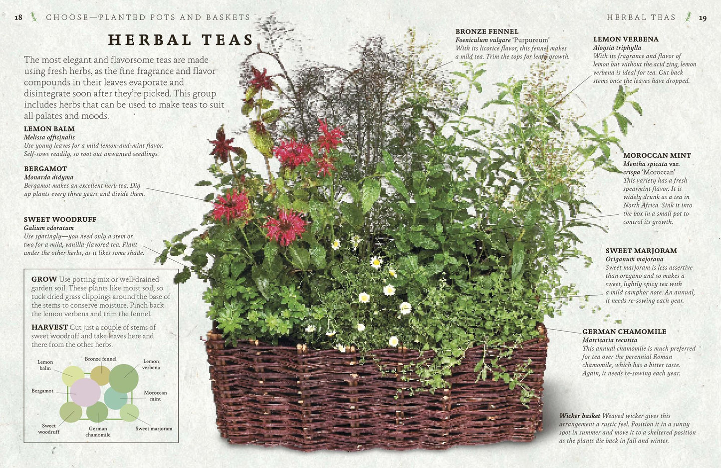 The Cook's Herb Garden: Grow, Harvest, Cook