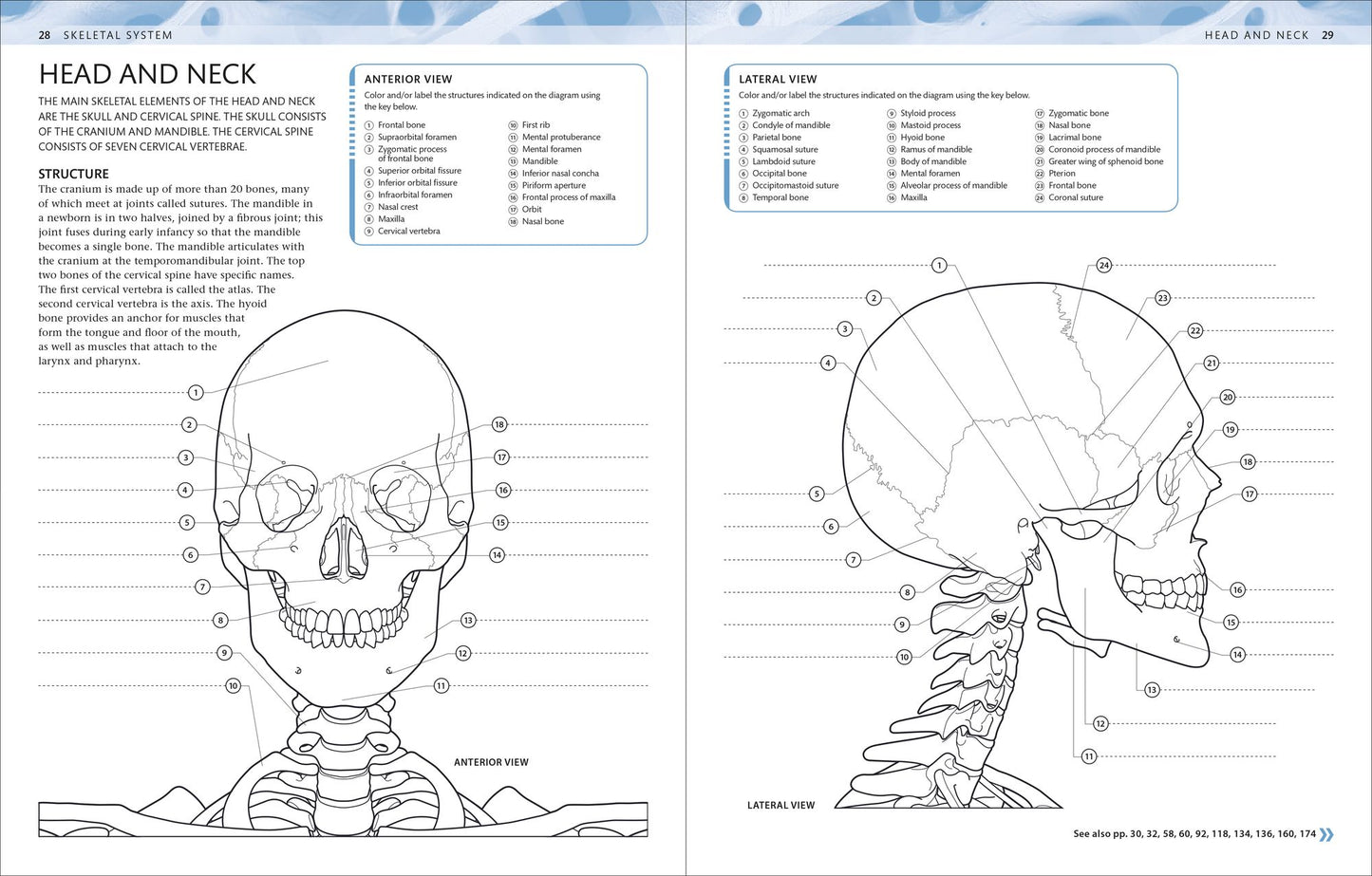The Human Body Coloring Book