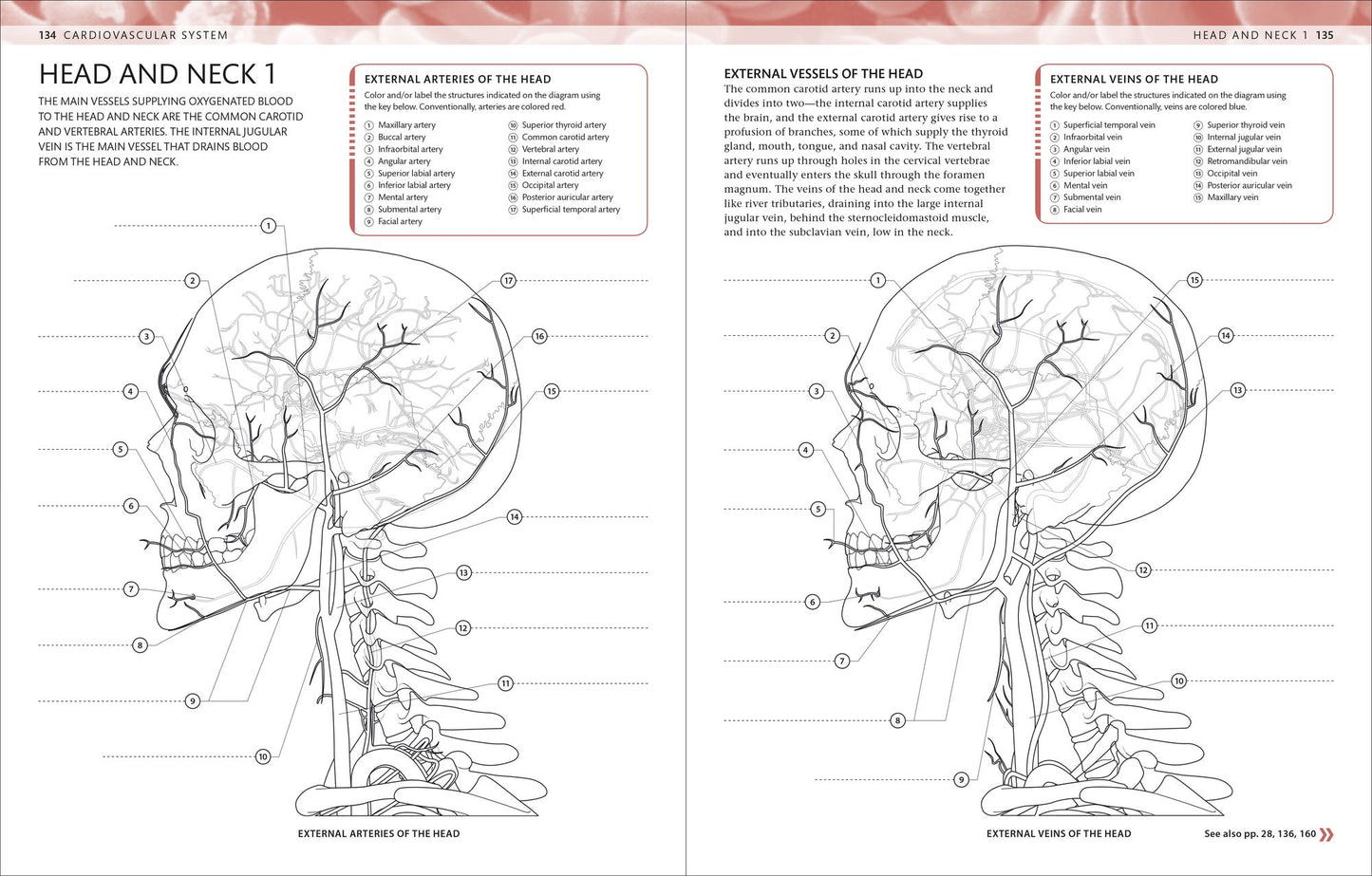 The Human Body Coloring Book