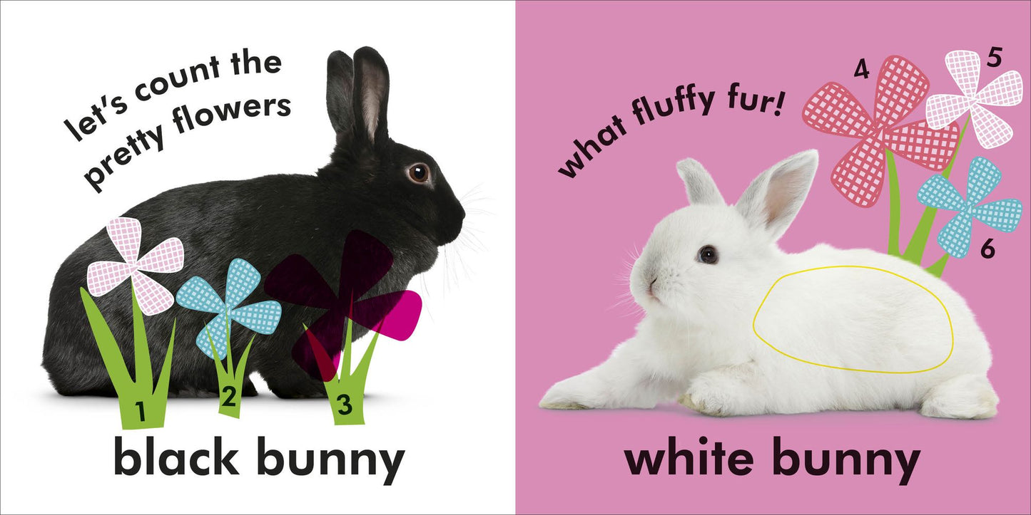 Baby Touch and Feel: Bunny