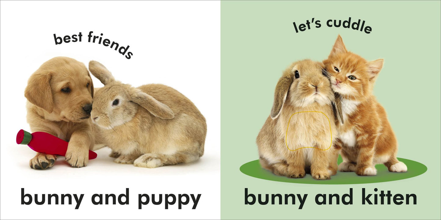 Baby Touch and Feel: Bunny