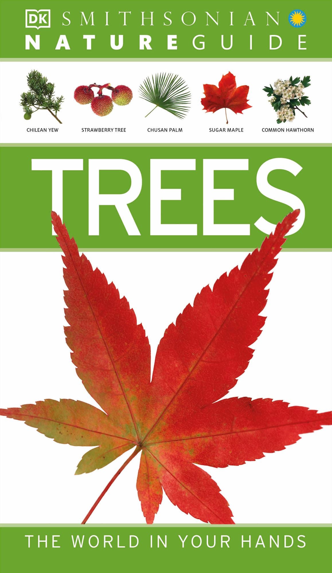 Nature Guide: Trees