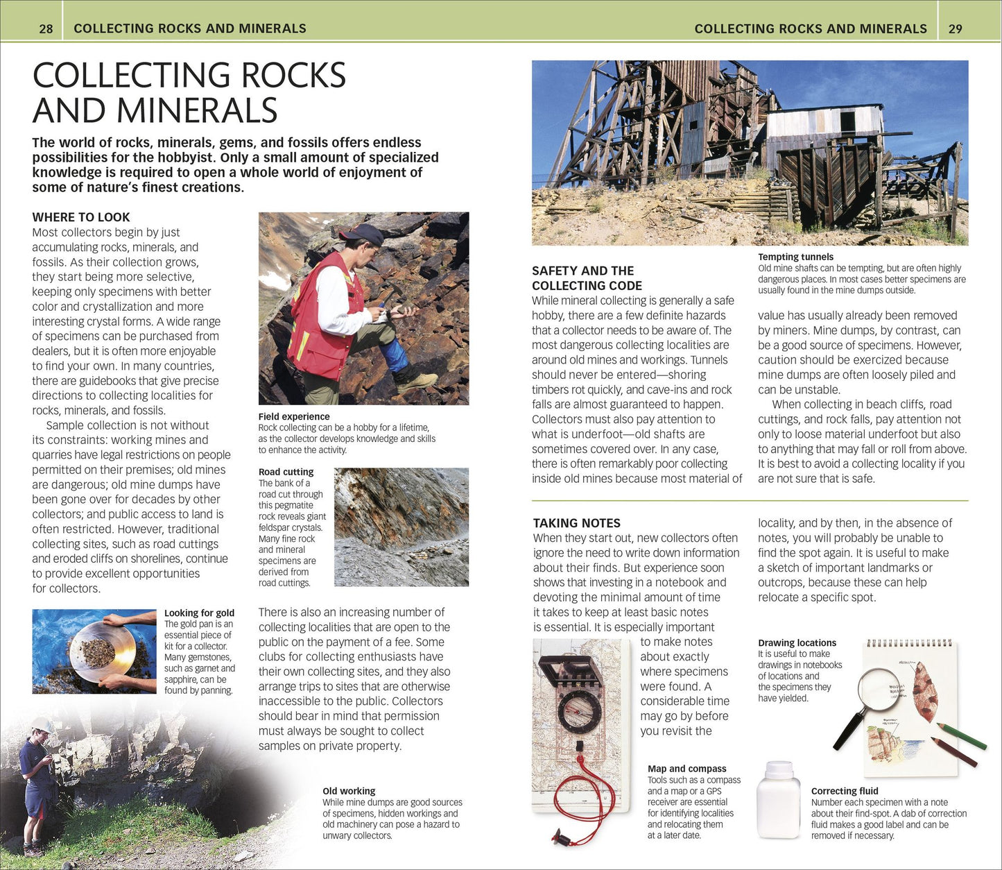 Nature Guide: Rocks and Minerals