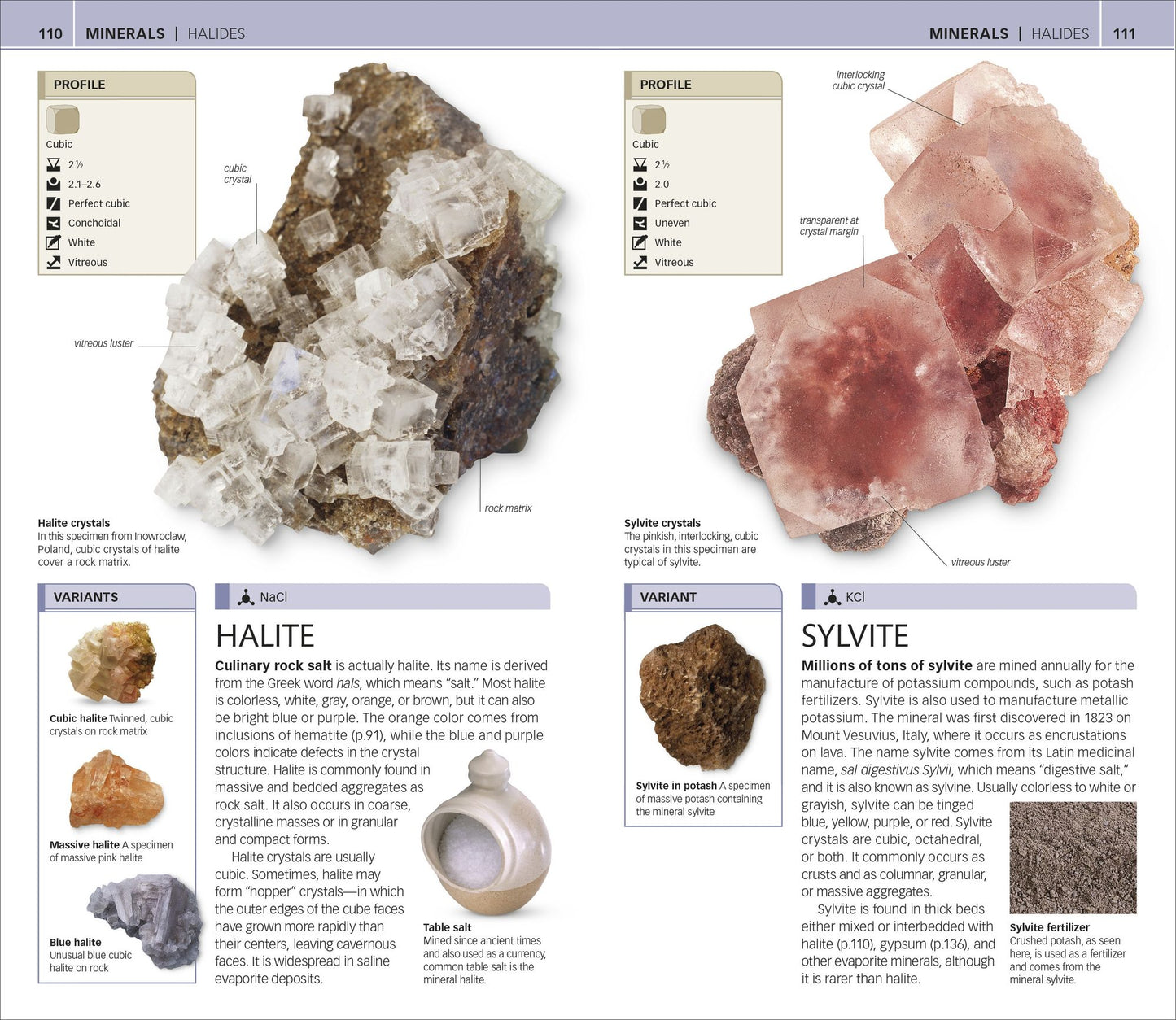 Nature Guide: Rocks and Minerals
