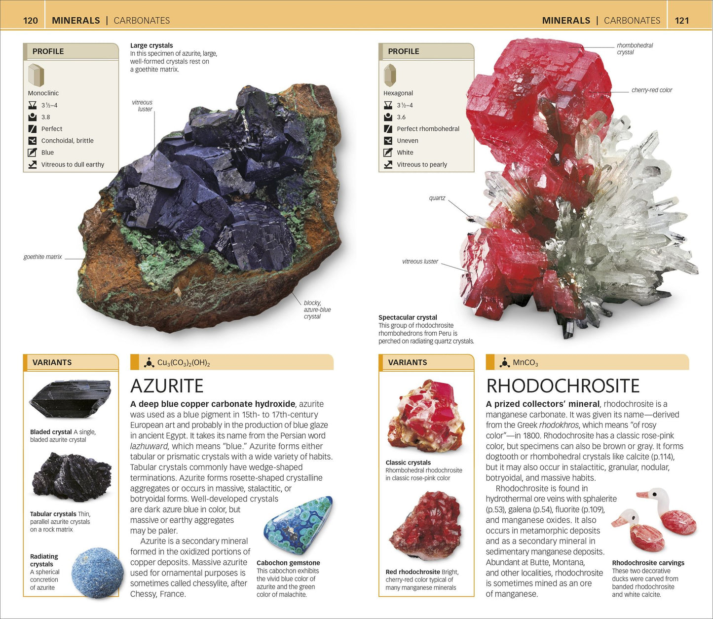 Nature Guide: Rocks and Minerals