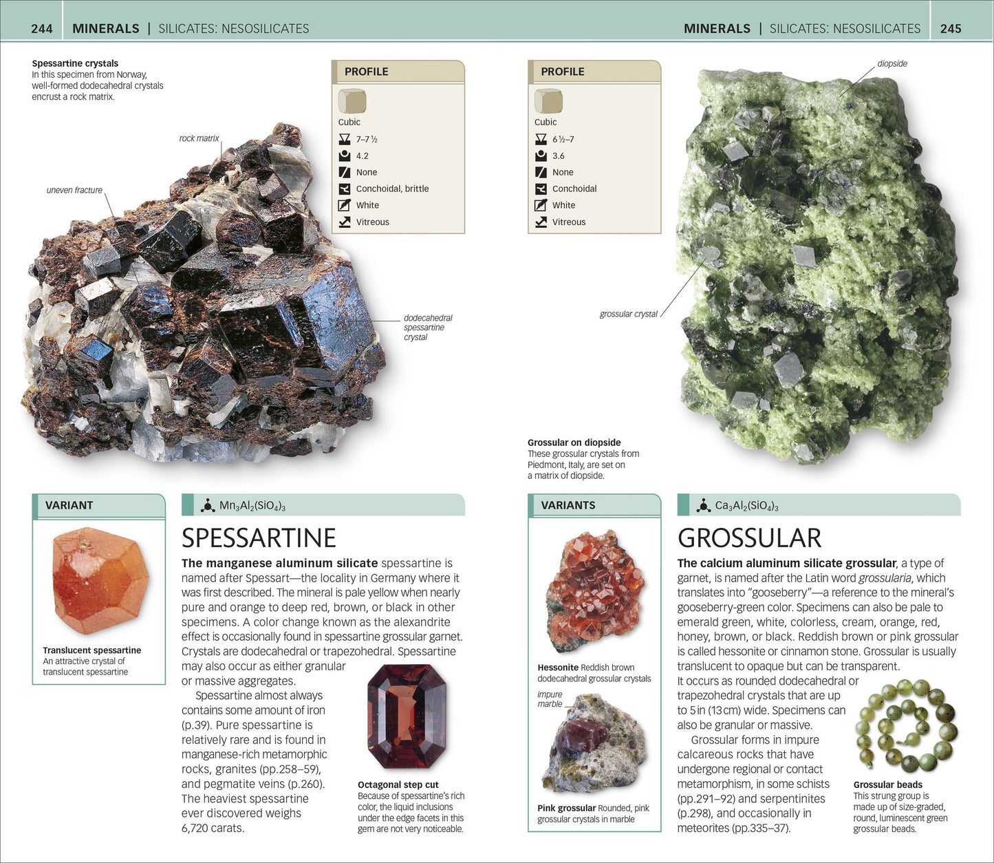 Nature Guide: Rocks and Minerals